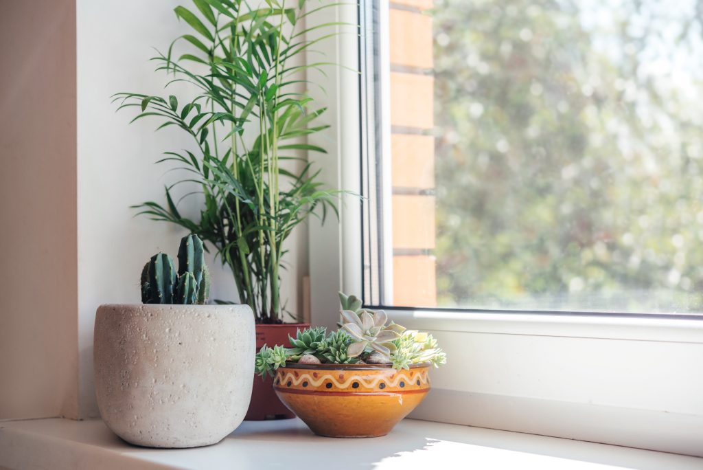 window repair